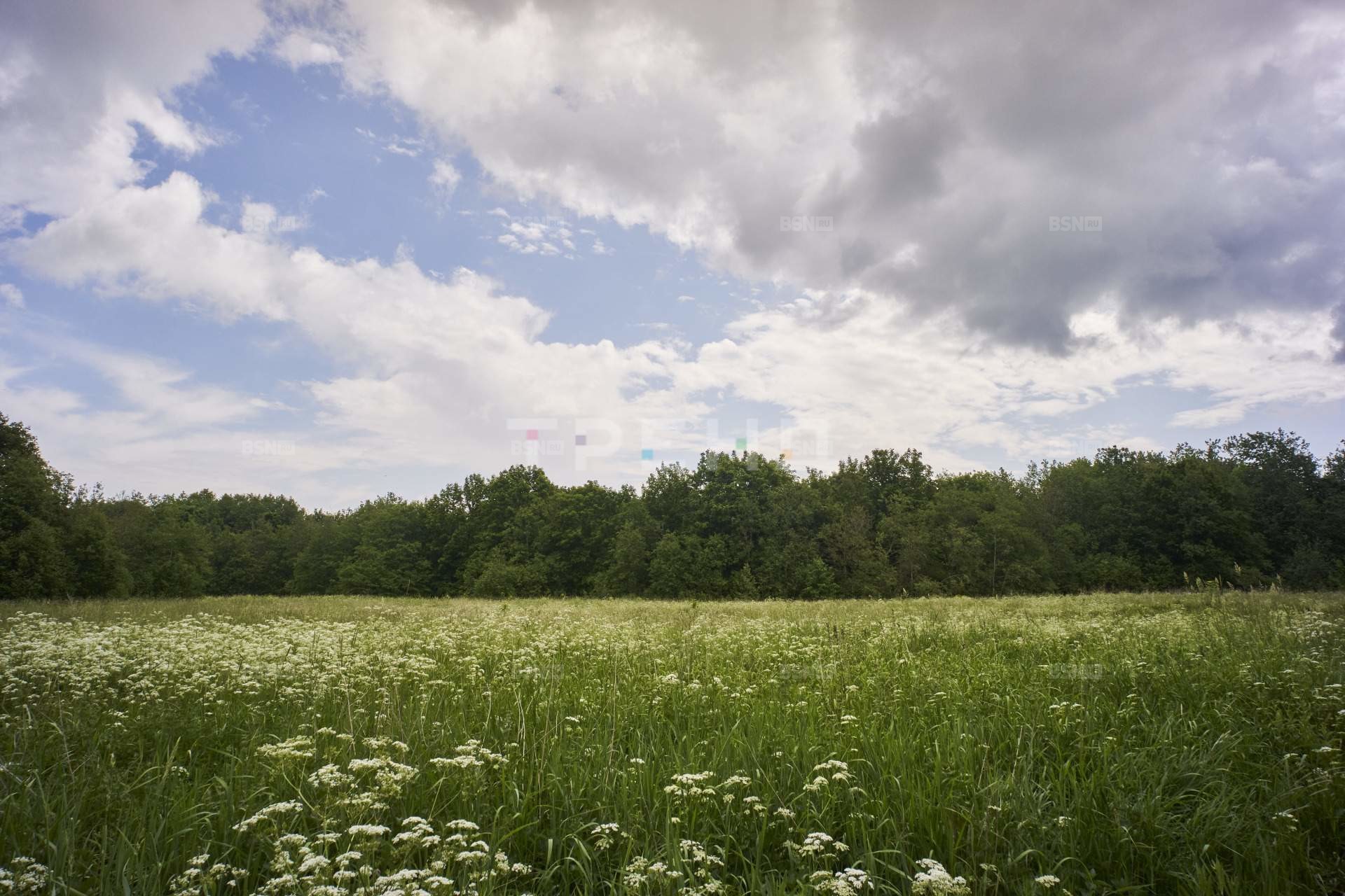 Купить Участок В Воронеже Под Коммерцию