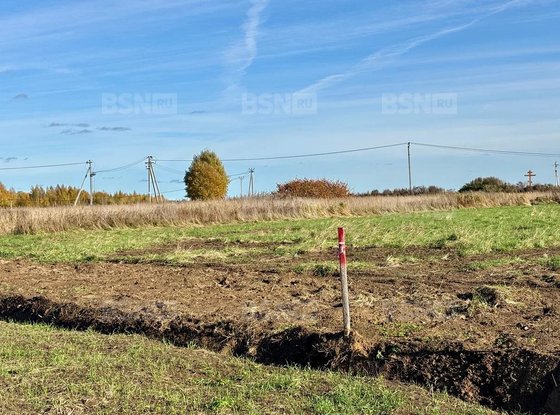 Продажа участка - Всеволожский район, Массив Скотное территория