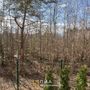 Продажа однокомнатной квартиры - деревня Юкки, Тенистая улица, д.10, корп.2 