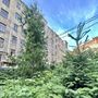 Продажа комнаты в пятикомнатной квартире - Измайловский проспект, д.16/30 