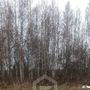 Продажа участка - деревня Залустежье, Сиреневая улица