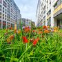 Продажа однокомнатной квартиры - Планерная улица, д.87, корп.1 