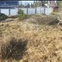 Продажа участка - Ленинградская область, Танкистов улица