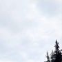 Продажа однокомнатной квартиры -  д.1 