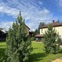 Продажа дома - поселок Парголово, Пионерская ул, д.31