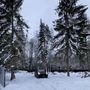 Продажа участка - коттеджный поселок Сосновый пляж, Прибрежный проезд