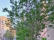 Продажа двухкомнатной квартиры - Гоголя ул., 2 