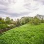 Продажа участка - поселок Петро-Славянка, Лесной проспект