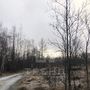 Продажа участка - поселок Никифоровское, 3-й Радужный проезд