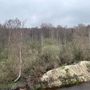 Продажа участка - деревня Оранжерейка, Оранжерейная улица