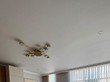 Продажа трехкомнатной квартиры - Россия, Санкт-Петербург, Дыбенко ул., 8, к 2 