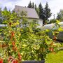 Продажа дома - дачный поселок Массив Бойцово, Березовая улица