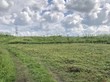 Продажа участка - Россия, Ленинградская область, Гатчинский район, Новая (Елизаветинское с/п) д.