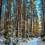 Продажа двухкомнатной квартиры - поселок Кирилловское, Советская улица, д.26 
