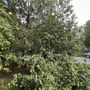 Продажа четырехкомнатной квартиры - Большевиков проспект, д.4, корп.1 