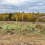 Продажа участка - Всеволожский район, Массив Скотное территория