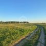 Продажа участка - Ленинградская область