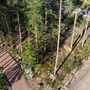 Продажа участка - поселок Пески, Алых Парусов улица