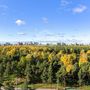 Продажа однокомнатной квартиры - Светлановский проспект, д.45 