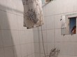 Продажа трехкомнатной квартиры - Купчинская ул., 11, к 2 