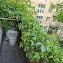 Продажа трехкомнатной квартиры - Стачек проспект, д.122, литера А 