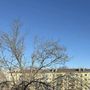 Продажа двухкомнатной квартиры - Приморск, Лебедева набережная, д.3 