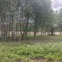 Продажа участка - поселок Быково, Быково п