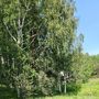 Продажа участка - деревня Порошкино, Тверская улица