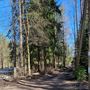 Продажа участка - городской поселок Рощино, Лесная улица