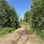 Продажа участка - Ленинградская область, Ромашковая улица