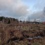 Продажа участка - Ленинградская область, Бригантина-2(Кобрино) территория снт