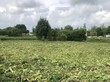 Продажа участка - Россия, Ленинградская область, Гатчинский район, Новая (Елизаветинское с/п) д.