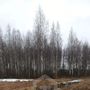 Продажа участка - деревня Залустежье, Дальняя улица