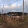 Продажа участка - Ленинградская область, Бригантина-2(Кобрино) территория снт