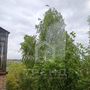 Продажа двухкомнатной квартиры - Красное Село, Стрельнинское шоссе, д.2 