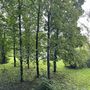 Продажа однокомнатной квартиры - 2-й Рабфаковский переулок, д.7, корп.2 