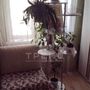 Продажа однокомнатной квартиры - Мурино, Оборонная улица, д.2, корп.4 