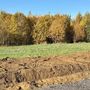 Продажа участка - Всеволожский район, Массив Скотное территория