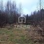 Продажа участка - Ленинградская область, Бригантина-2(Кобрино) территория снт