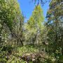 Продажа участка - городской поселок Рощино, Красноармейская улица