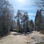 Продажа участка - городской поселок Рощино, Лесная улица
