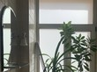 Аренда встроенного помещения - Московский проспект, 22 