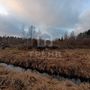 Продажа участка - Ленинградская область, Бригантина-2(Кобрино) территория снт