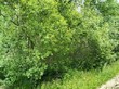 Продажа участка - СТ Пролетарский труд ул.