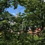Продажа трехкомнатной квартиры - Победы улица, д.18 