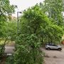 Продажа однокомнатной квартиры - Энгельса проспект, д.145, корп.3 