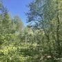 Продажа участка - Всеволожск, Пушкинская улица