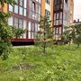 Продажа однокомнатной квартиры - поселок Шушары, Кокколевская улица, д.9, стр4 