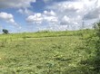Продажа участка - Россия, Ленинградская область, Гатчинский район, Новая (Елизаветинское с/п) д.