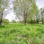 Продажа участка - поселок Петро-Славянка, Лесной проспект